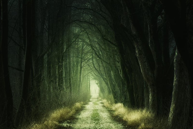 Enchanted Woodland Estates